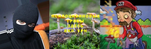 скорость Богородск