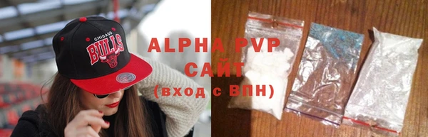 ECSTASY Белокуриха